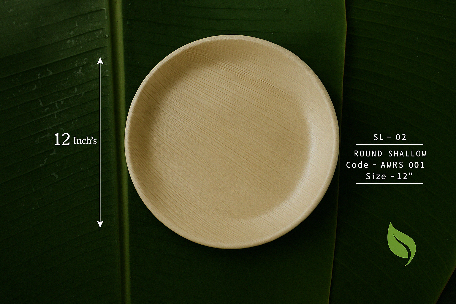 Round Shallow Plate