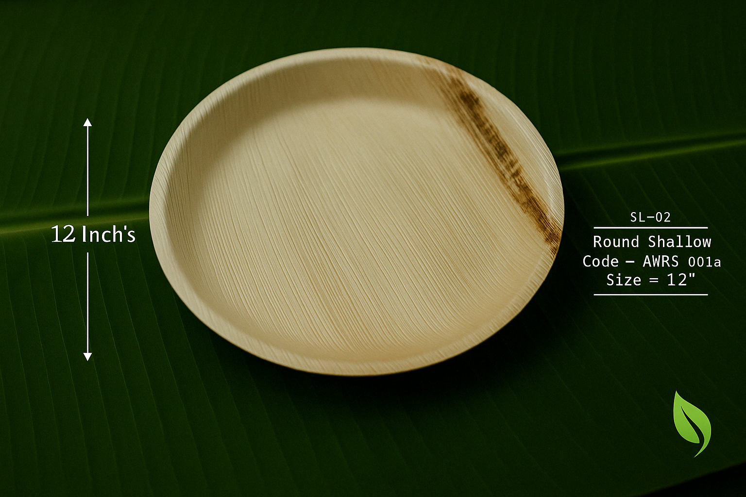 Round Shallow Plate